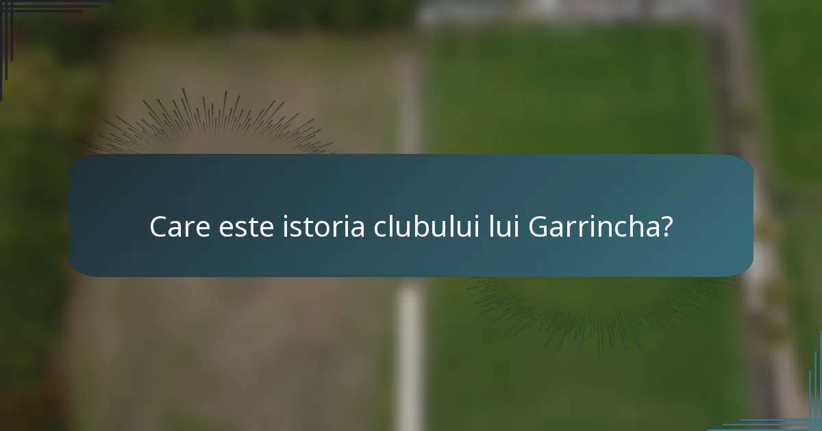 Care este istoria clubului lui Garrincha?