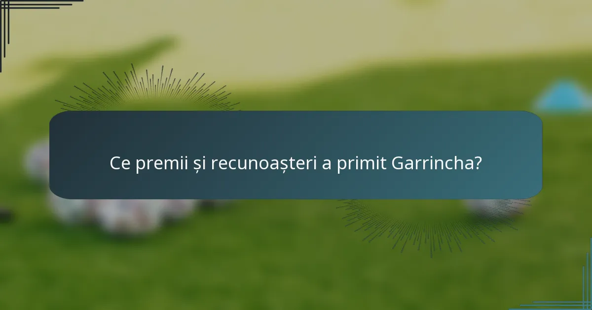 Ce premii și recunoașteri a primit Garrincha?