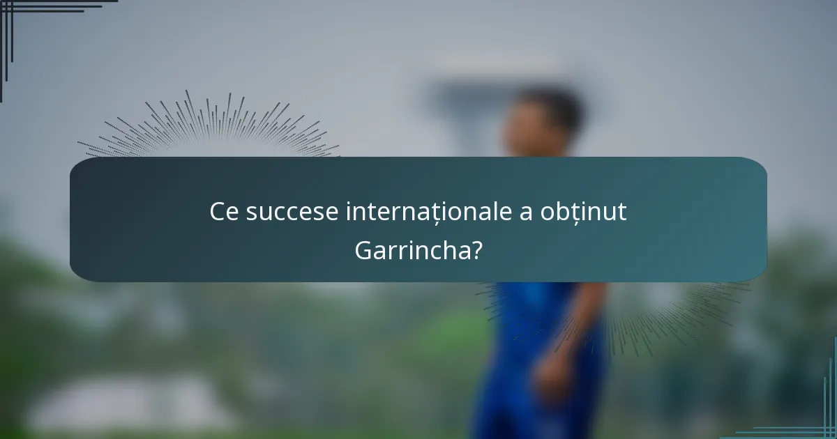 Ce succese internaționale a obținut Garrincha?