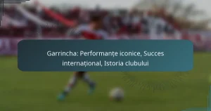 Garrincha: Performanțe iconice, Succes internațional, Istoria clubului